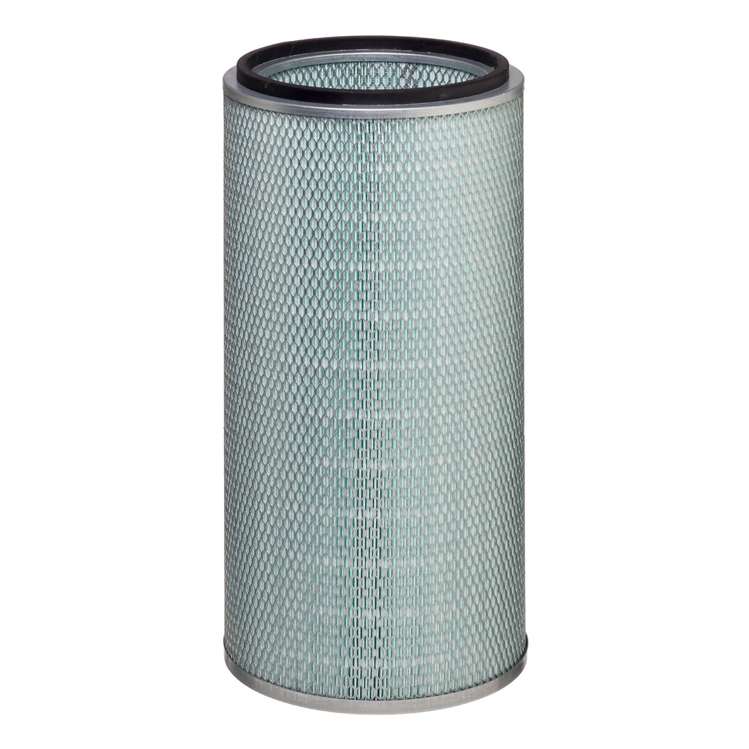 Secondary Air Filter